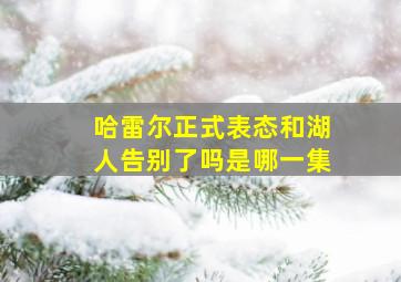 哈雷尔正式表态和湖人告别了吗是哪一集