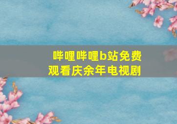 哔哩哔哩b站免费观看庆余年电视剧