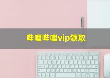 哔哩哔哩vip领取