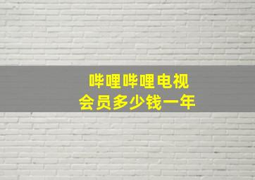 哔哩哔哩电视会员多少钱一年