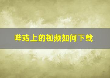 哔站上的视频如何下载