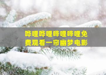 哗哩哗哩哔哩哔哩免费观看一帘幽梦电影