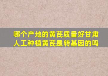 哪个产地的黄芪质量好甘肃人工种植黄芪是转基因的吗