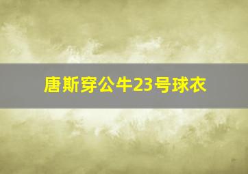 唐斯穿公牛23号球衣