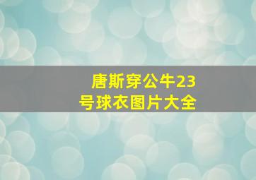 唐斯穿公牛23号球衣图片大全