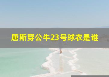 唐斯穿公牛23号球衣是谁