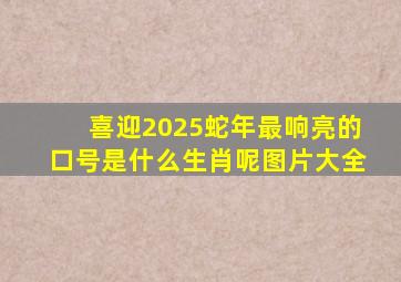 喜迎2025蛇年最响亮的口号是什么生肖呢图片大全