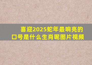 喜迎2025蛇年最响亮的口号是什么生肖呢图片视频