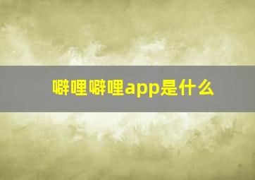 噼哩噼哩app是什么