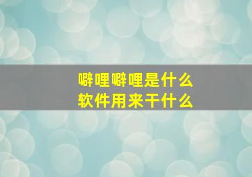 噼哩噼哩是什么软件用来干什么