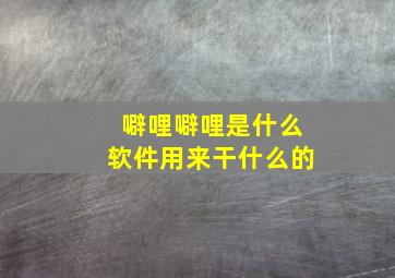 噼哩噼哩是什么软件用来干什么的