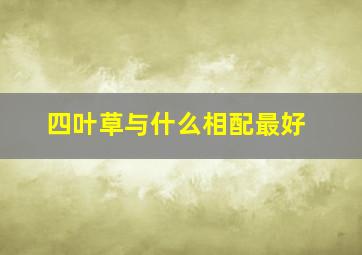 四叶草与什么相配最好