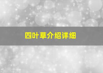 四叶草介绍详细