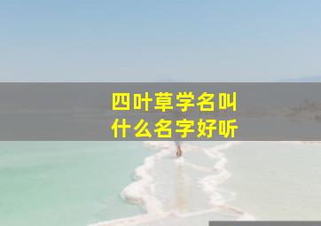 四叶草学名叫什么名字好听