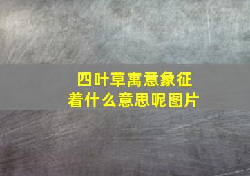 四叶草寓意象征着什么意思呢图片