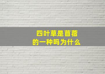 四叶草是苜蓿的一种吗为什么