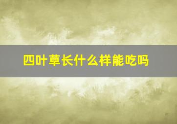 四叶草长什么样能吃吗