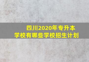 四川2020年专升本学校有哪些学校招生计划