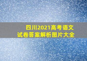 四川2021高考语文试卷答案解析图片大全