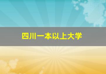 四川一本以上大学