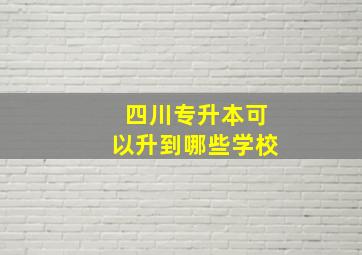 四川专升本可以升到哪些学校