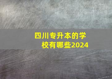 四川专升本的学校有哪些2024