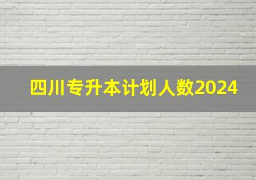 四川专升本计划人数2024