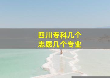 四川专科几个志愿几个专业