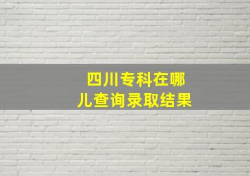 四川专科在哪儿查询录取结果