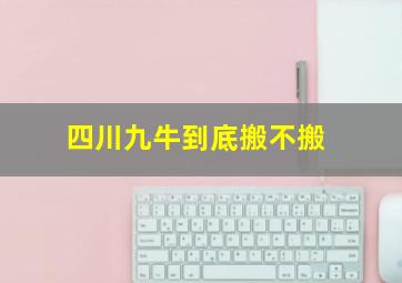 四川九牛到底搬不搬