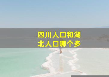 四川人口和湖北人口哪个多