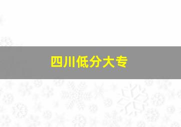 四川低分大专