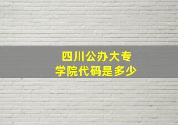 四川公办大专学院代码是多少