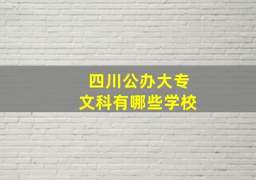 四川公办大专文科有哪些学校