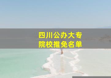 四川公办大专院校推免名单