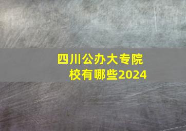 四川公办大专院校有哪些2024