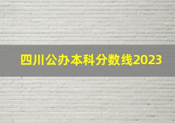 四川公办本科分数线2023