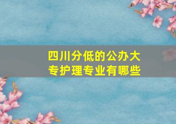 四川分低的公办大专护理专业有哪些