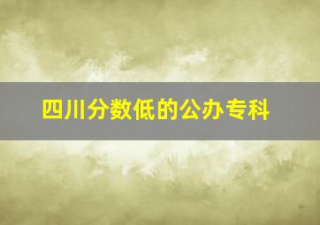 四川分数低的公办专科