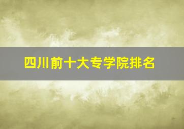 四川前十大专学院排名