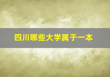 四川哪些大学属于一本