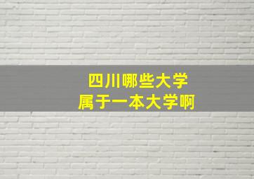 四川哪些大学属于一本大学啊