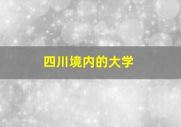 四川境内的大学