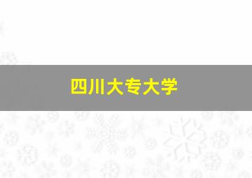 四川大专大学