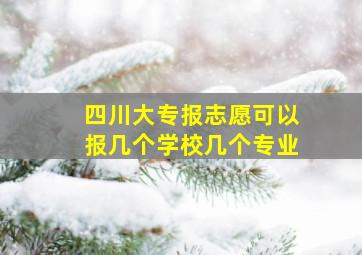 四川大专报志愿可以报几个学校几个专业