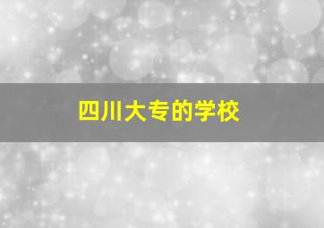 四川大专的学校