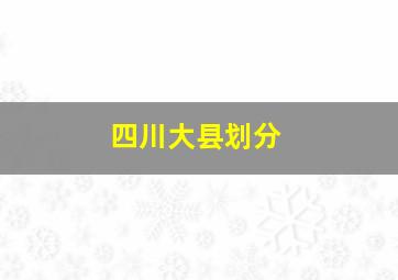 四川大县划分