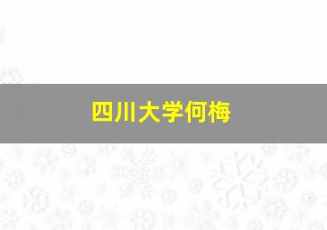 四川大学何梅