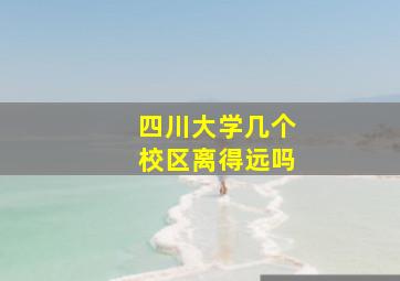 四川大学几个校区离得远吗