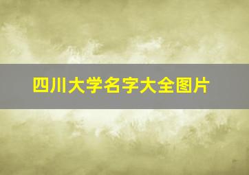 四川大学名字大全图片